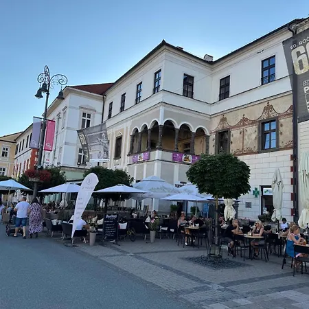 Alure Residences 10 - 24h Self Check-in & Private Parking Next To The Building Included, Center Right On Snp Square In A Quiet Passage, New Building, In Town Apartment Banská Bystrica